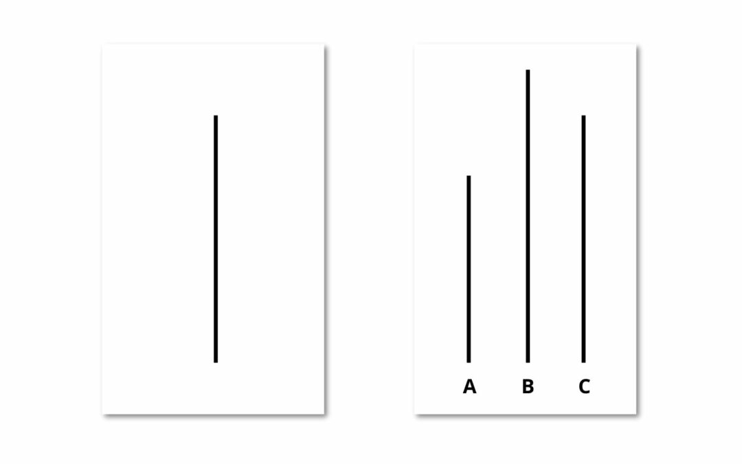 L’Expérience de Asch : Une belle illustration du biais de conformisme